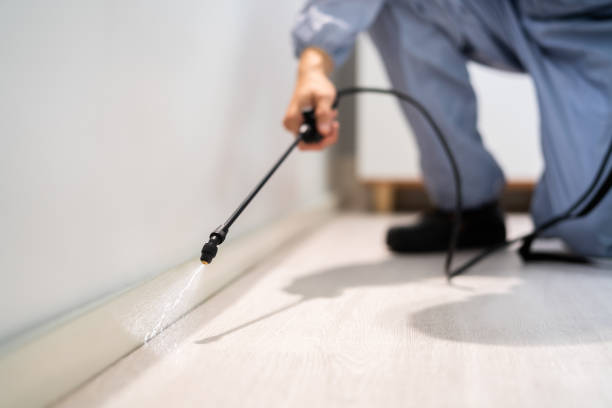 Rodent Entry Point Assessment in Broomfield