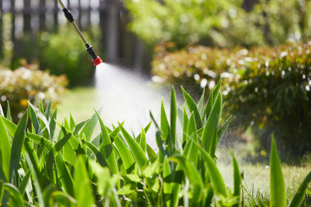 Tamper-Resistant Bait Stations for Rodents in Broomfield