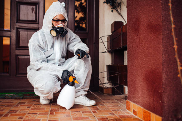 Attic and Crawl Space Rodent Treatment in Broomfield