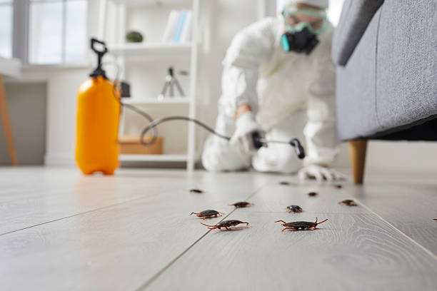 Commercial Rodent Management in Broomfield